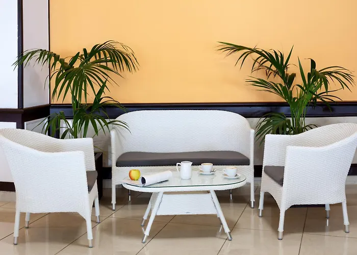 Dragos Del Sur Puerto de Santiago (Tenerife)