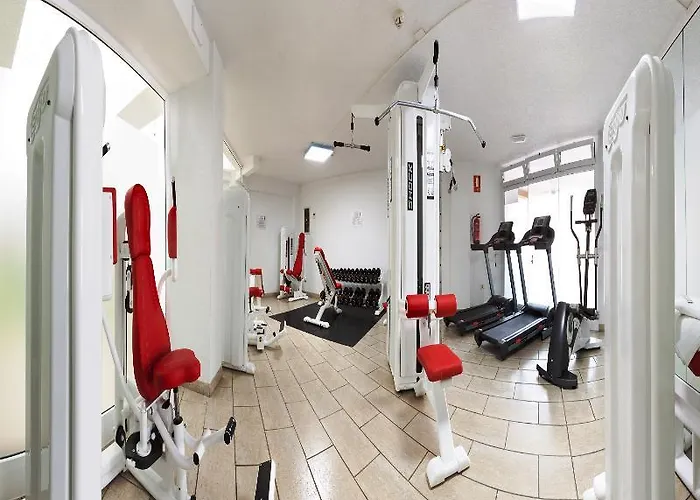 Dragos Del Sur Puerto de Santiago (Tenerife)